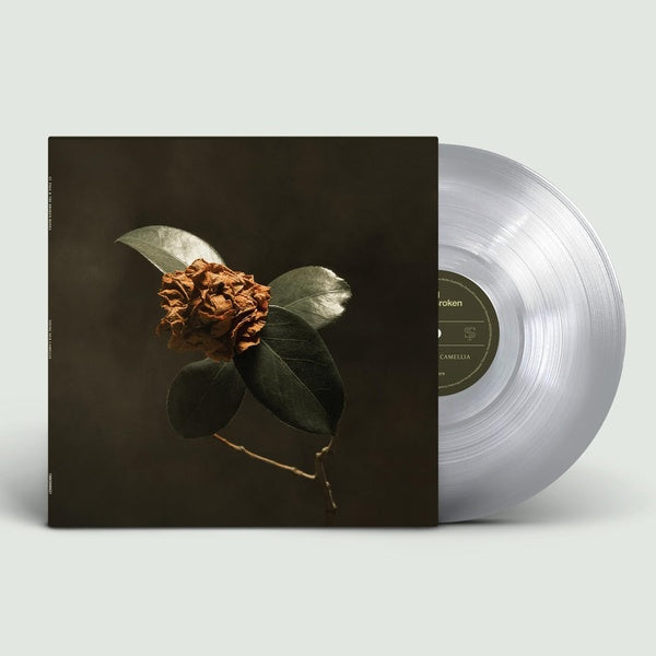Young Sick Camellia - Front Cover