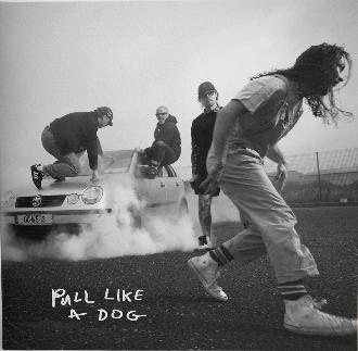 Pull Like a Dog - Front Cover