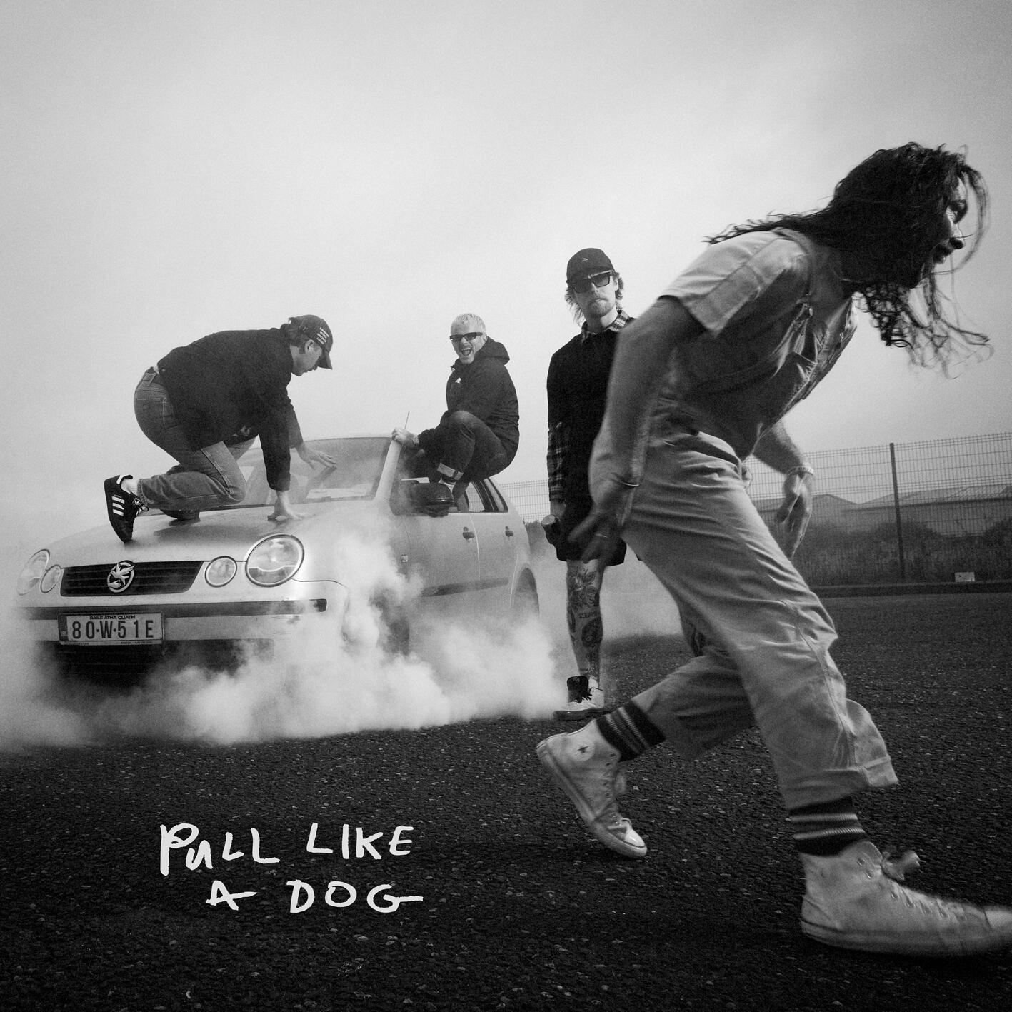 Pull Like a Dog - Front Cover