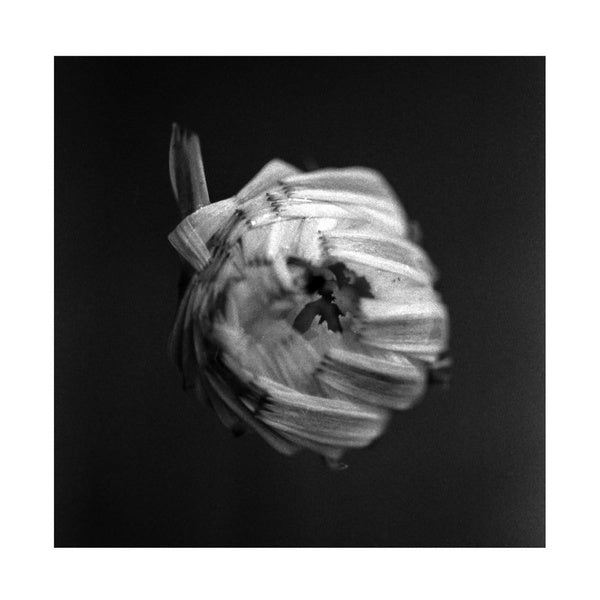 An Empire - Front Cover