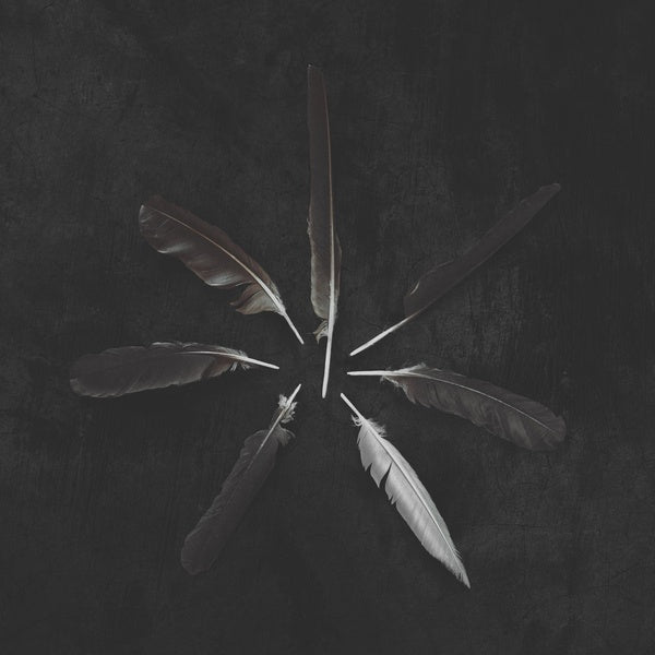 Dust And Disquiet - Front Cover