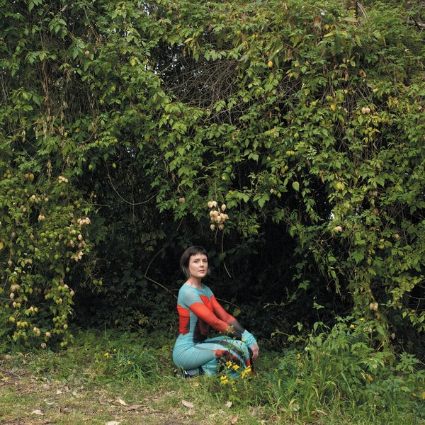 Molasses - Front Cover