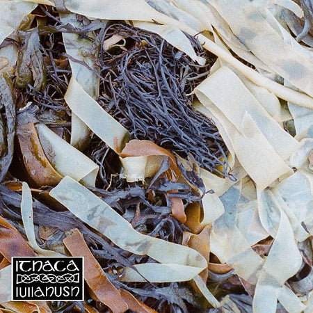 Ithaca - Front Cover