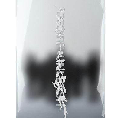 DESIRE : UNLEASH (MAKE Version) Coffret - Front Cover