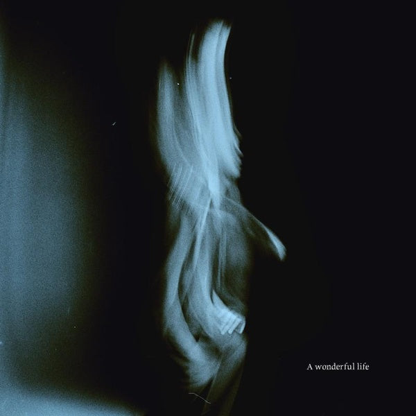 A Wonderful Life - Front Cover