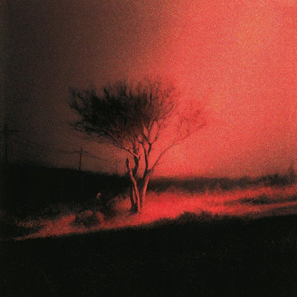 Piss In The Wind - Front Cover