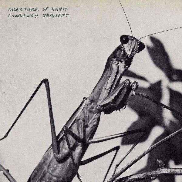 Creature of Habit - Front Cover