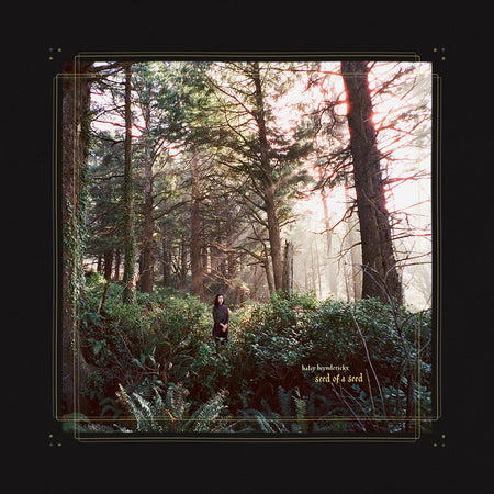 Seed of a Seed (Vinyle LP) / Haley Heynderickx - Front Cover