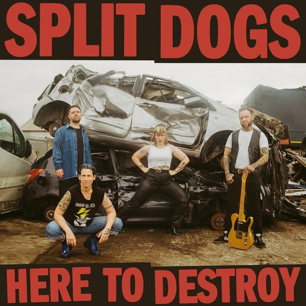 Here To Destroy - Front Cover