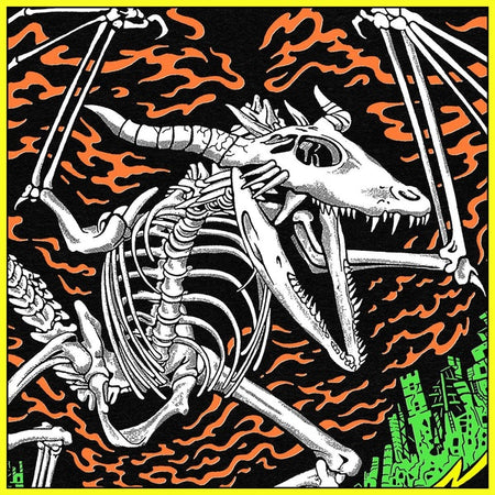 Acoustic Gizzard - Live In Detroit 2024 - Front Cover