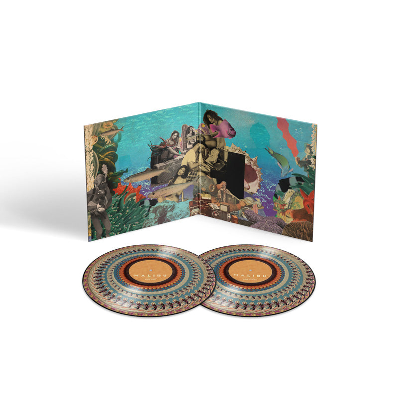 MALIBU/10 YEAR ANNIVERSARY ZOETROPE/LIMITED - Front Cover