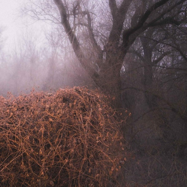 Nincs Szennyezetlen Szép - Front Cover