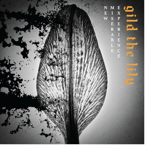 Gild the Lily - Front Cover