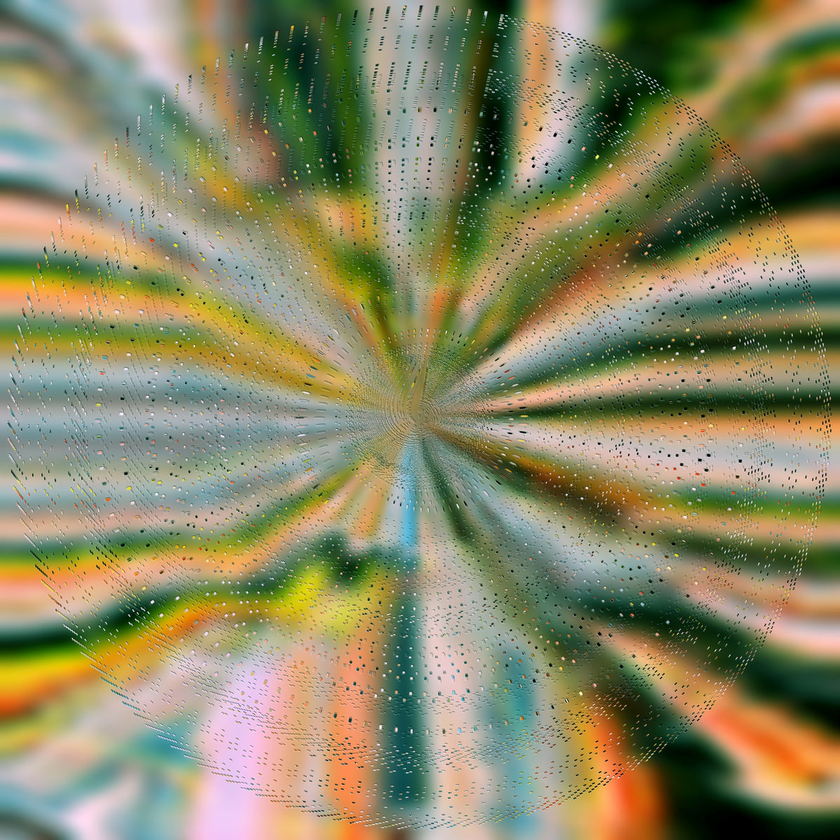 Everlight - Front Cover