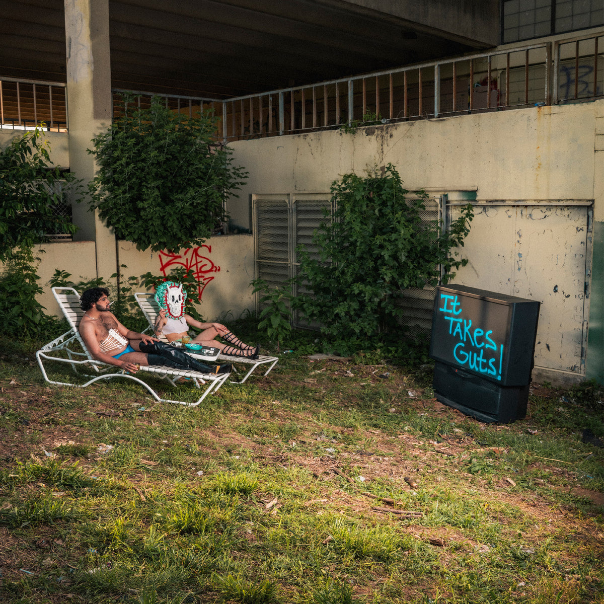 IT TAKES GUTS - Front Cover