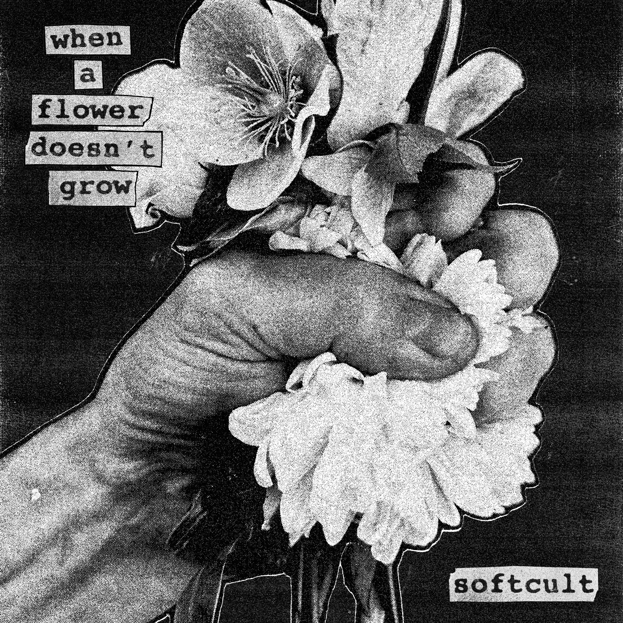 When A Flower Doesn't Grow - Front Cover