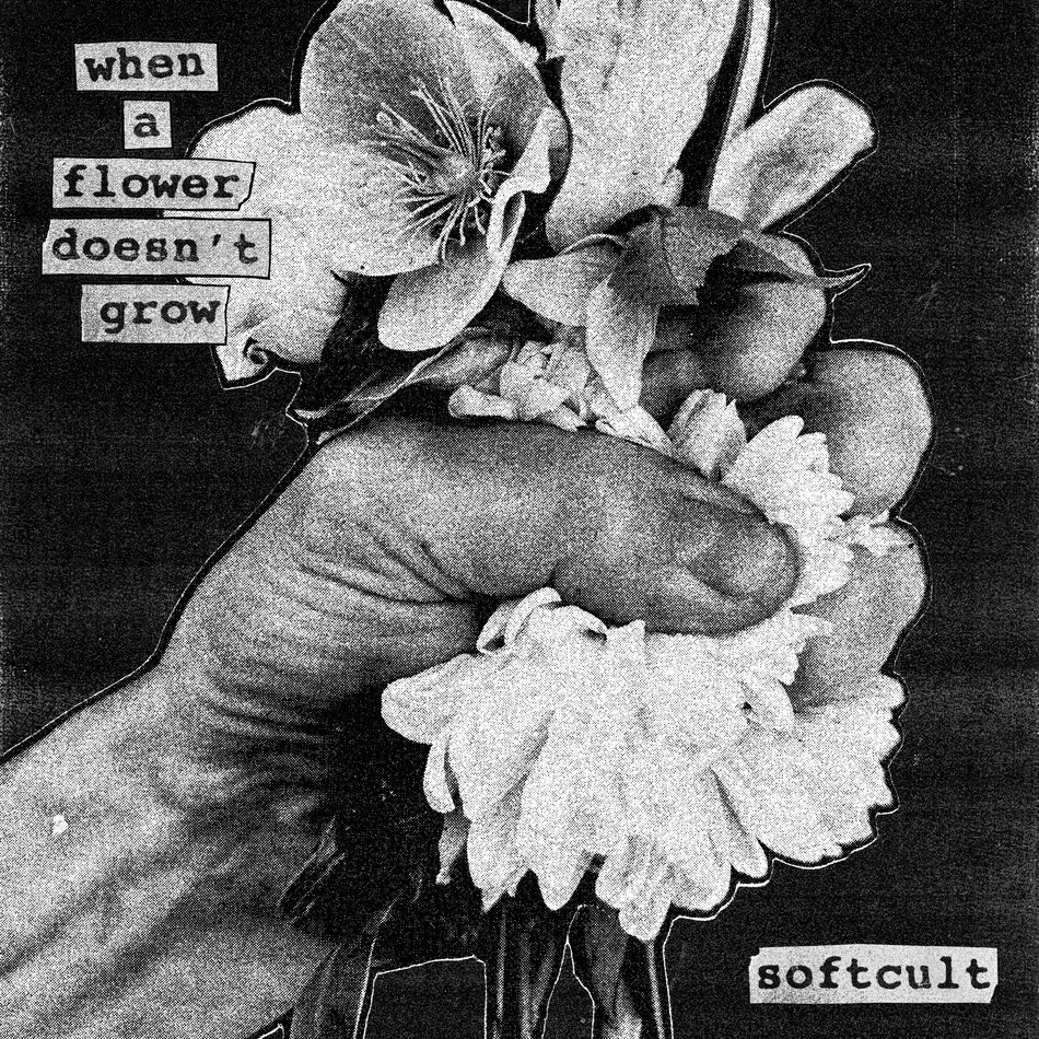 When A Flower Doesn't Grow - Front Cover