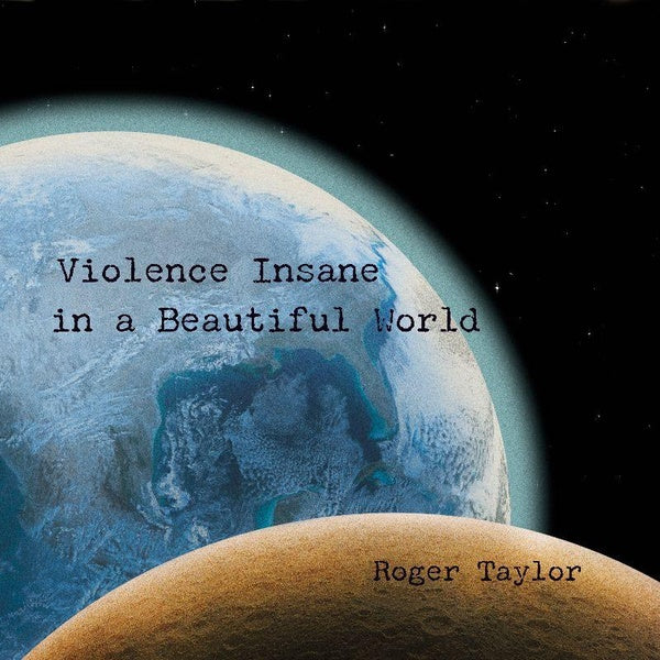 Violence Insane In A Beautiful World - Front Cover