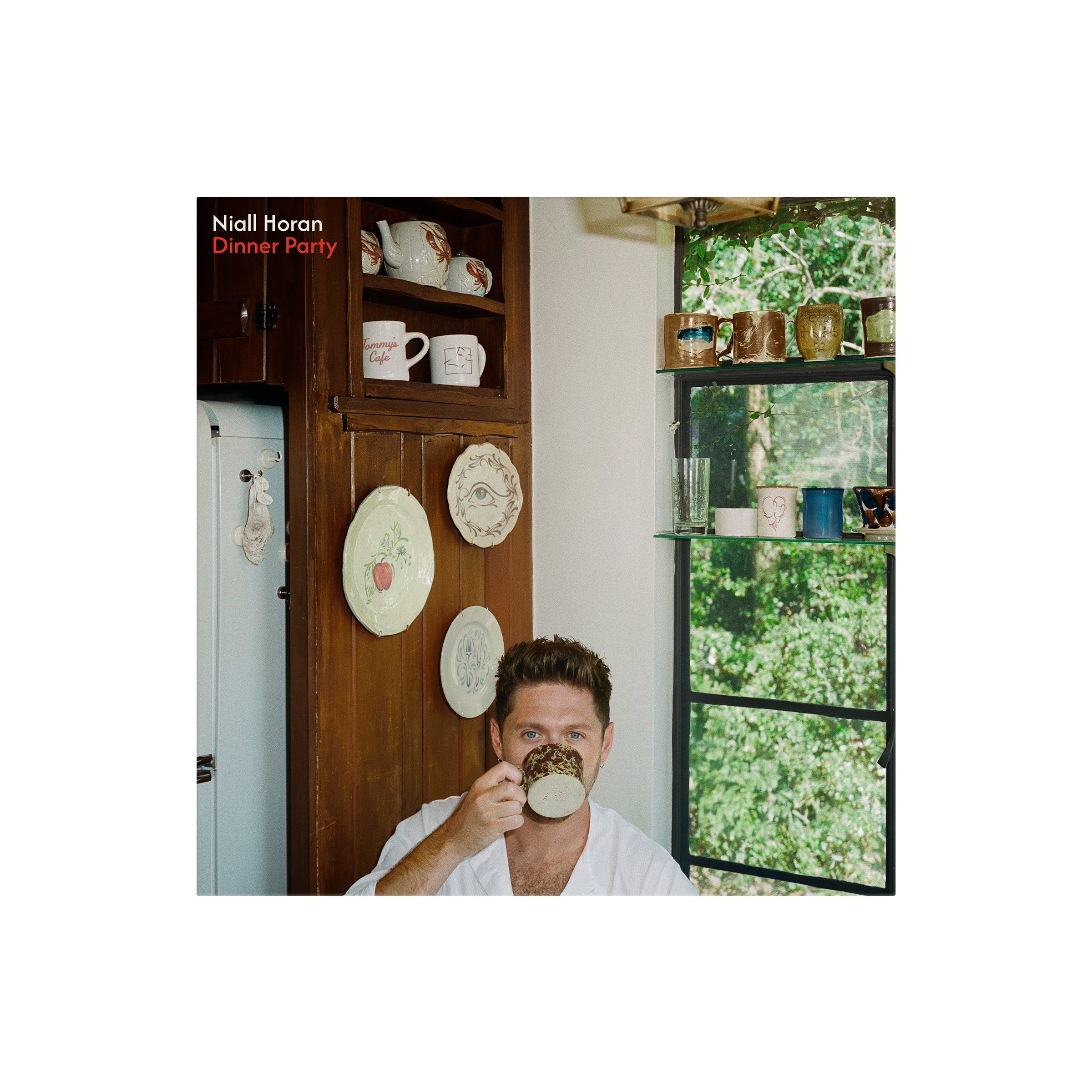 Dinner Party - Front Cover