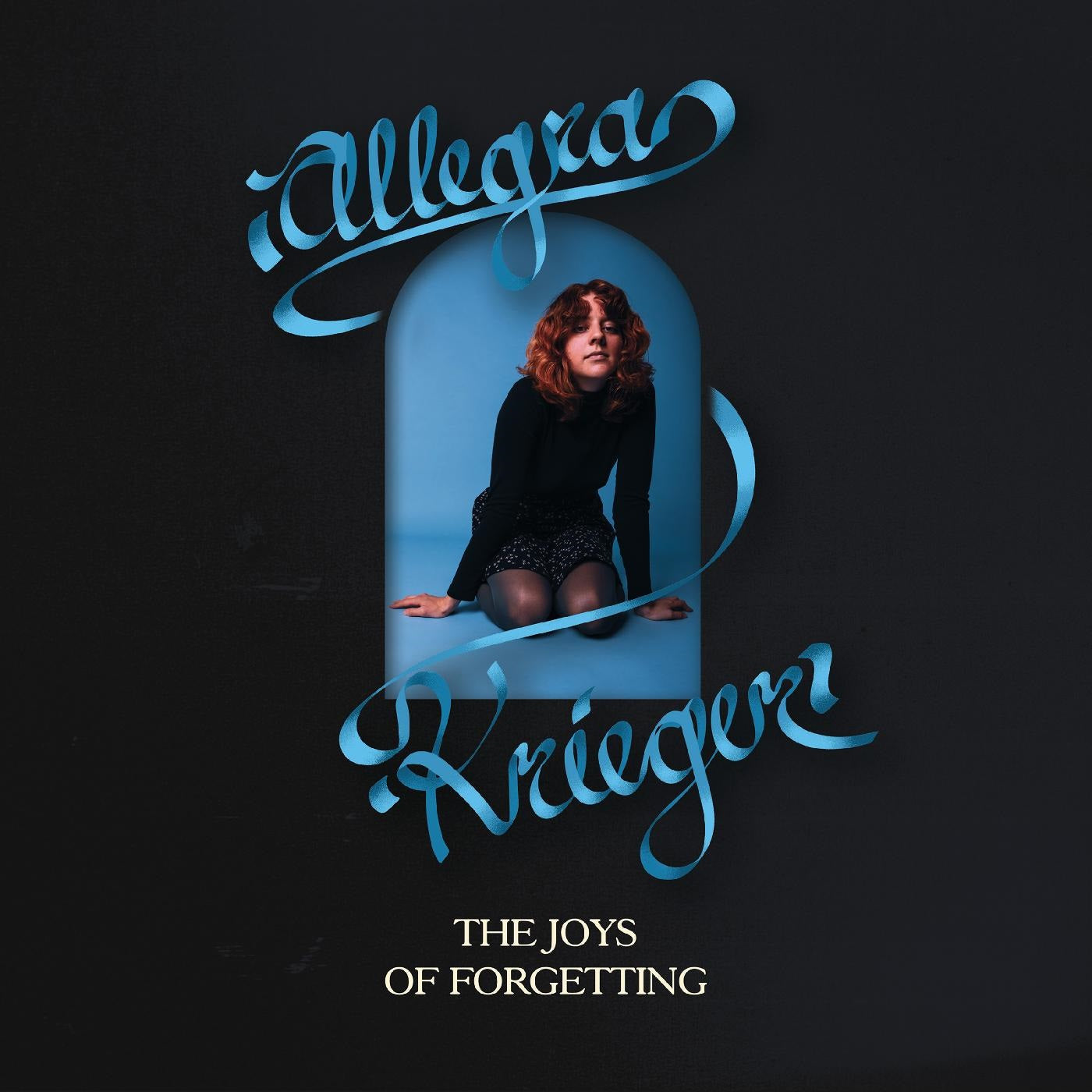 JOYS OF FORGETTING - Front Cover