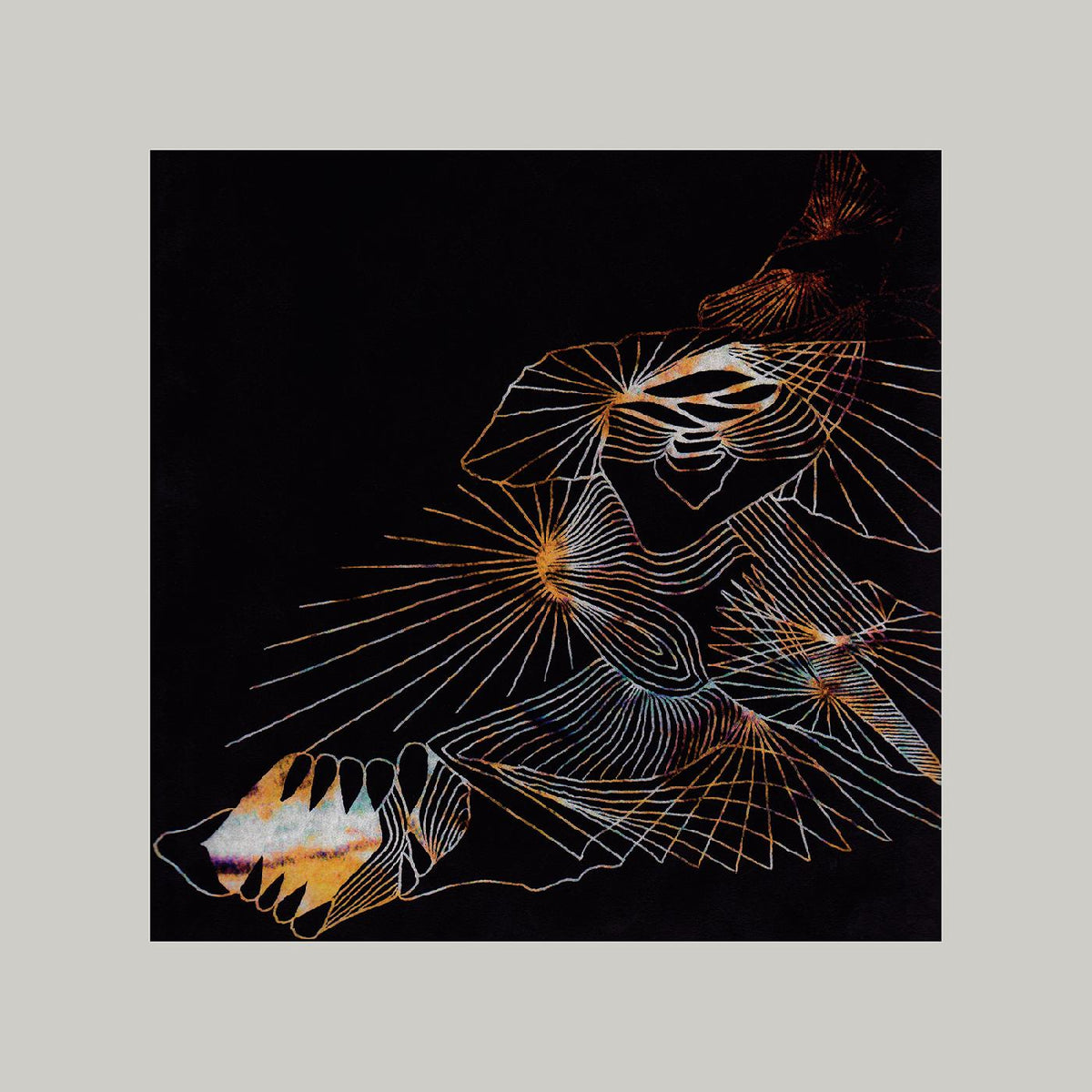 DECOMPOSING FORCE/INCLUS LIEN DE TELECHARGEMENT - Front Cover