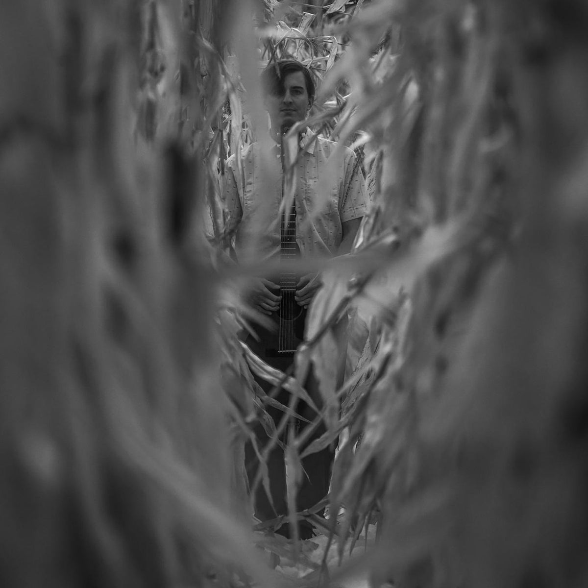 CELLS REMAIN - Front Cover