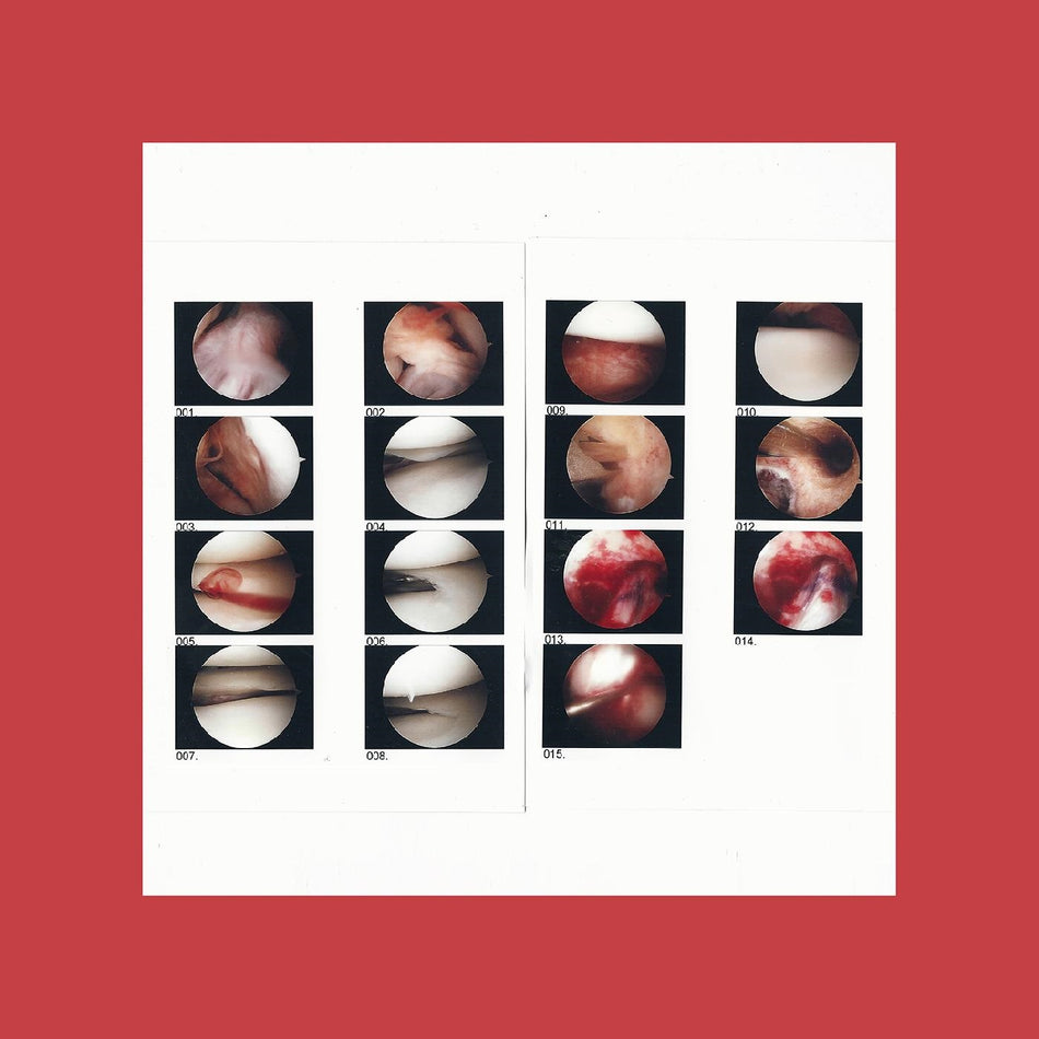 LAUGHING IN - Front Cover