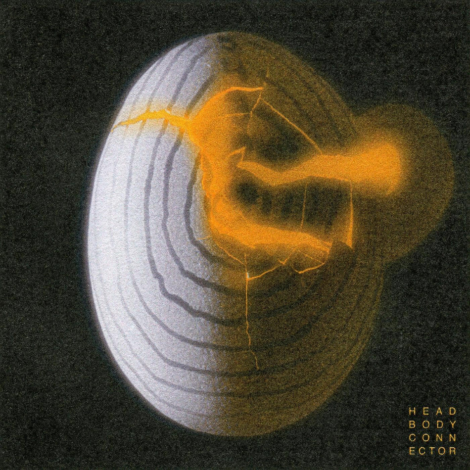 HEAD BODY CONNECTOR/VINYLE NOIR - Front Cover
