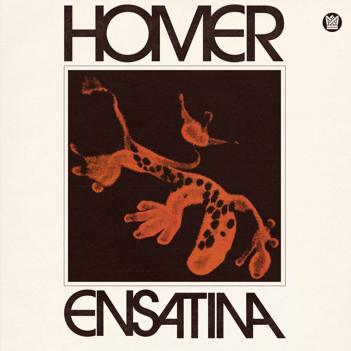 Ensatina - Front Cover