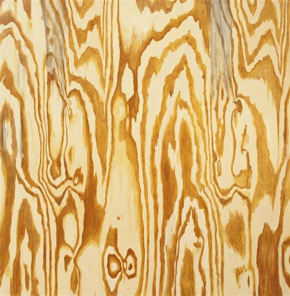 Wooden Aquarium - Front Cover
