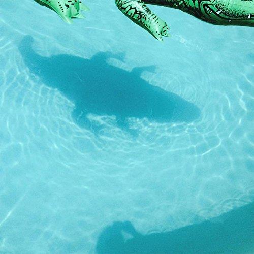 The Official Body - Front Cover