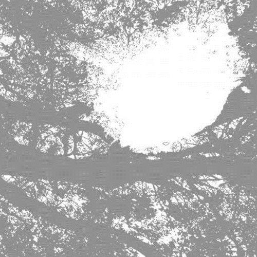 Field Recordings From the Sun - Front Cover