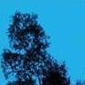 Republic of Sadness - Front Cover