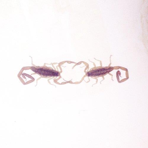 Wabi Sabi - Front Cover