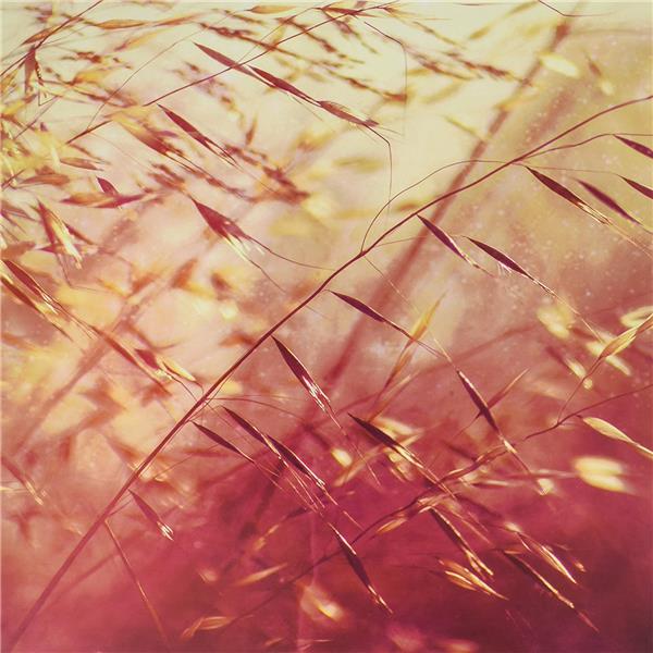 Two Shadows Collide - Front Cover