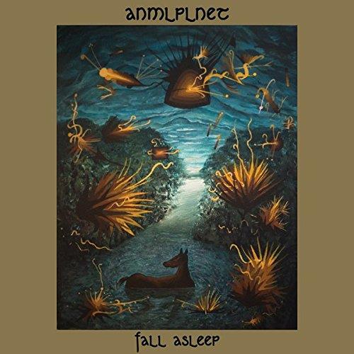 Fall Asleep - Front Cover