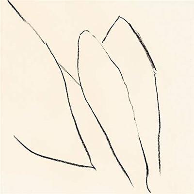 Voices Of The Air - Front Cover