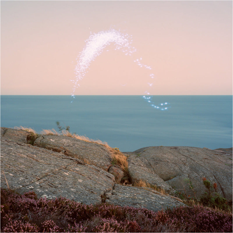 An Overview On Phenomenal Nature - Front Cover