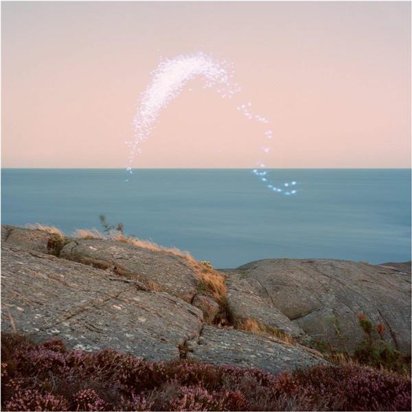 An Overview On Phenomenal Nature - Front Cover
