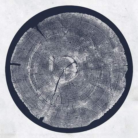 R Tropic Of Anodyne - Front Cover