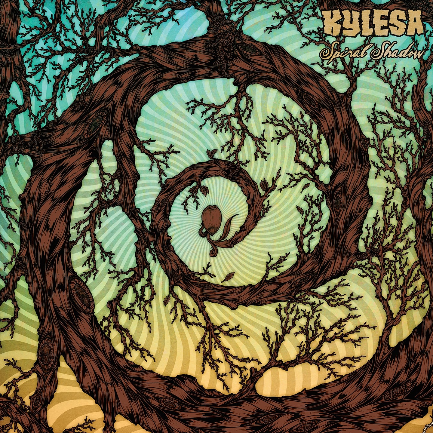 Spiral Shadow - Front Cover