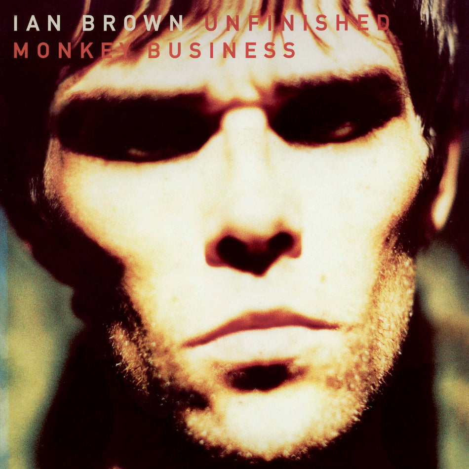 UNFINISHED MONKEY BUSINESS/VINYLE NOIR AUDIOPHILE 180GR - Front Cover