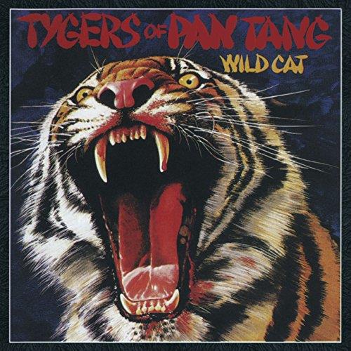Wild Cat - Front Cover