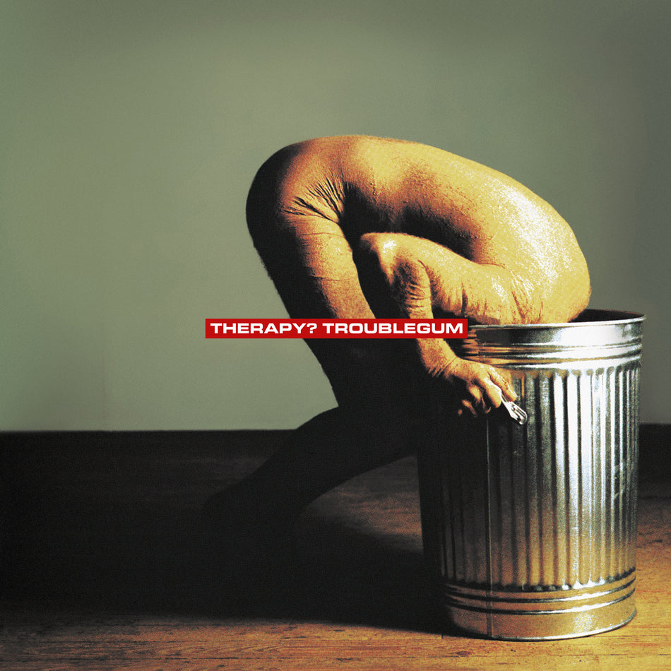TROUBLEGUM/VINYLE NOIR AUDIOPHILE 180GR - Front Cover