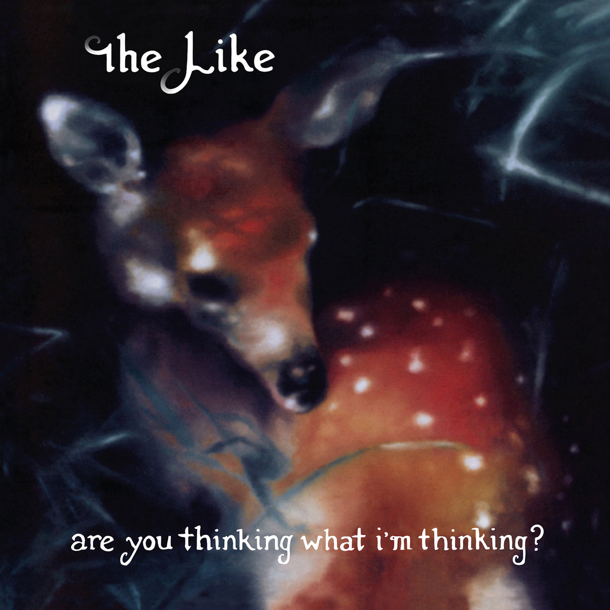 ARE YOU THINKING WHAT I M THINKING/VINYLE NOIR AUDIOPHILE 180GR - Front Cover