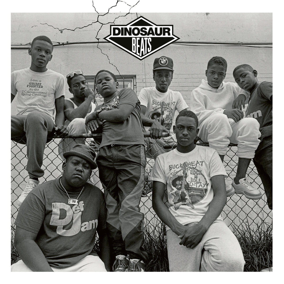 Dinosaur Beats - Front Cover