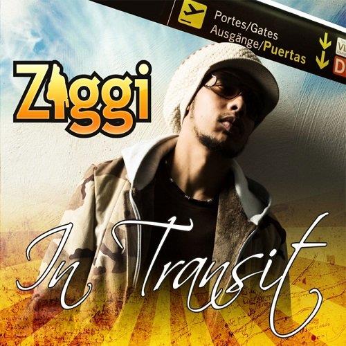 In transit - Front Cover