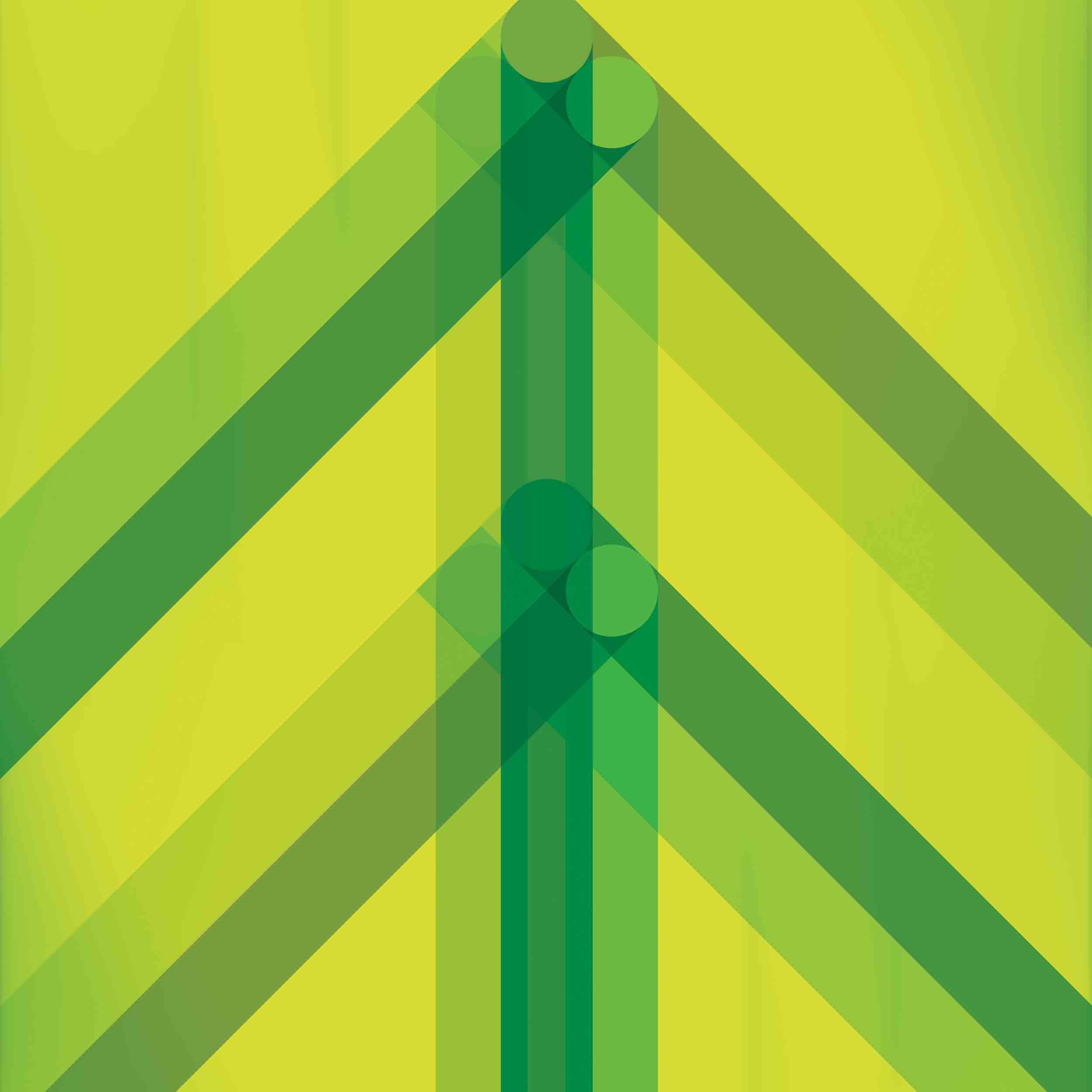 Every Direction Is North - Vinyle Vert - Front Cover