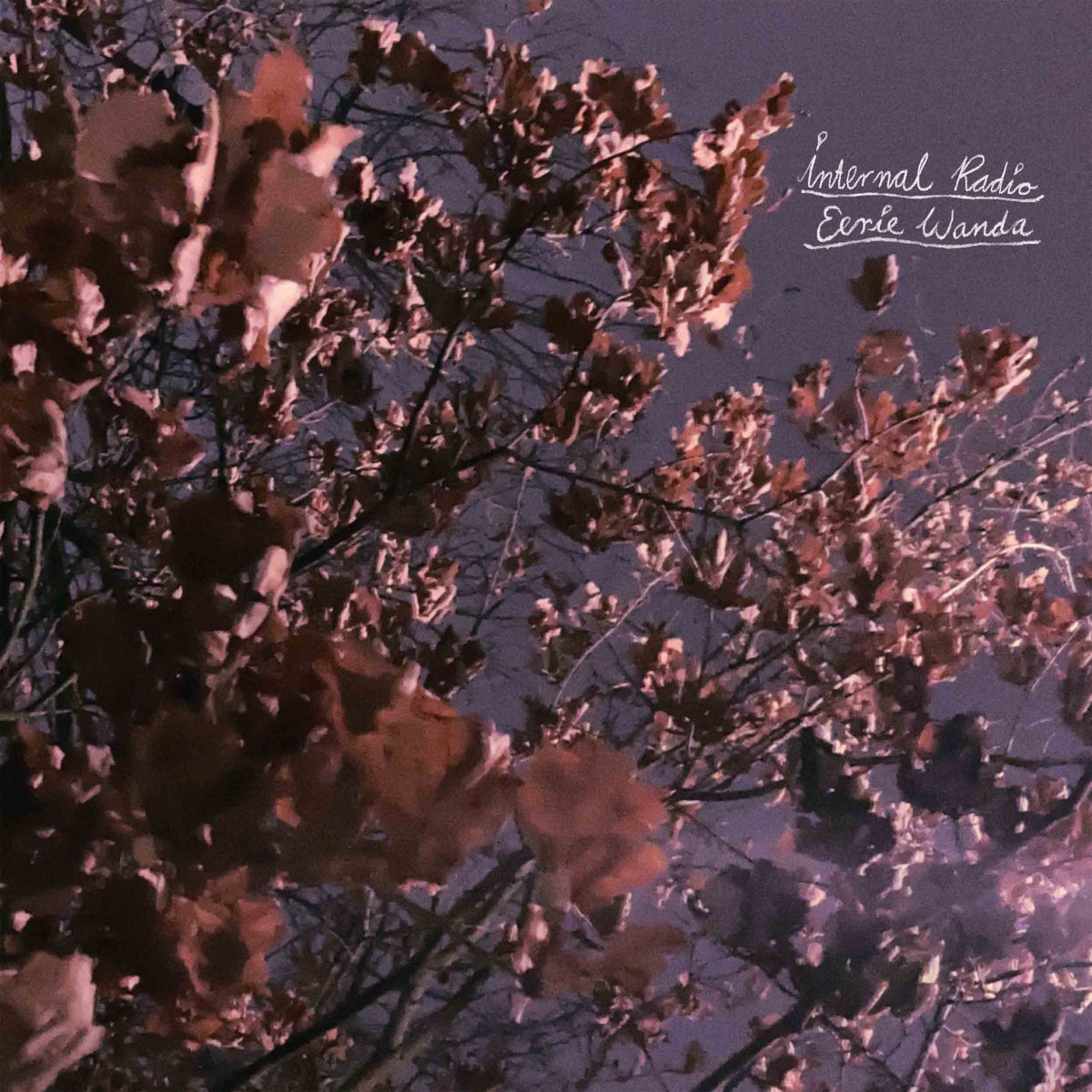 Internal Radio - Vinyle Lavande - Front Cover