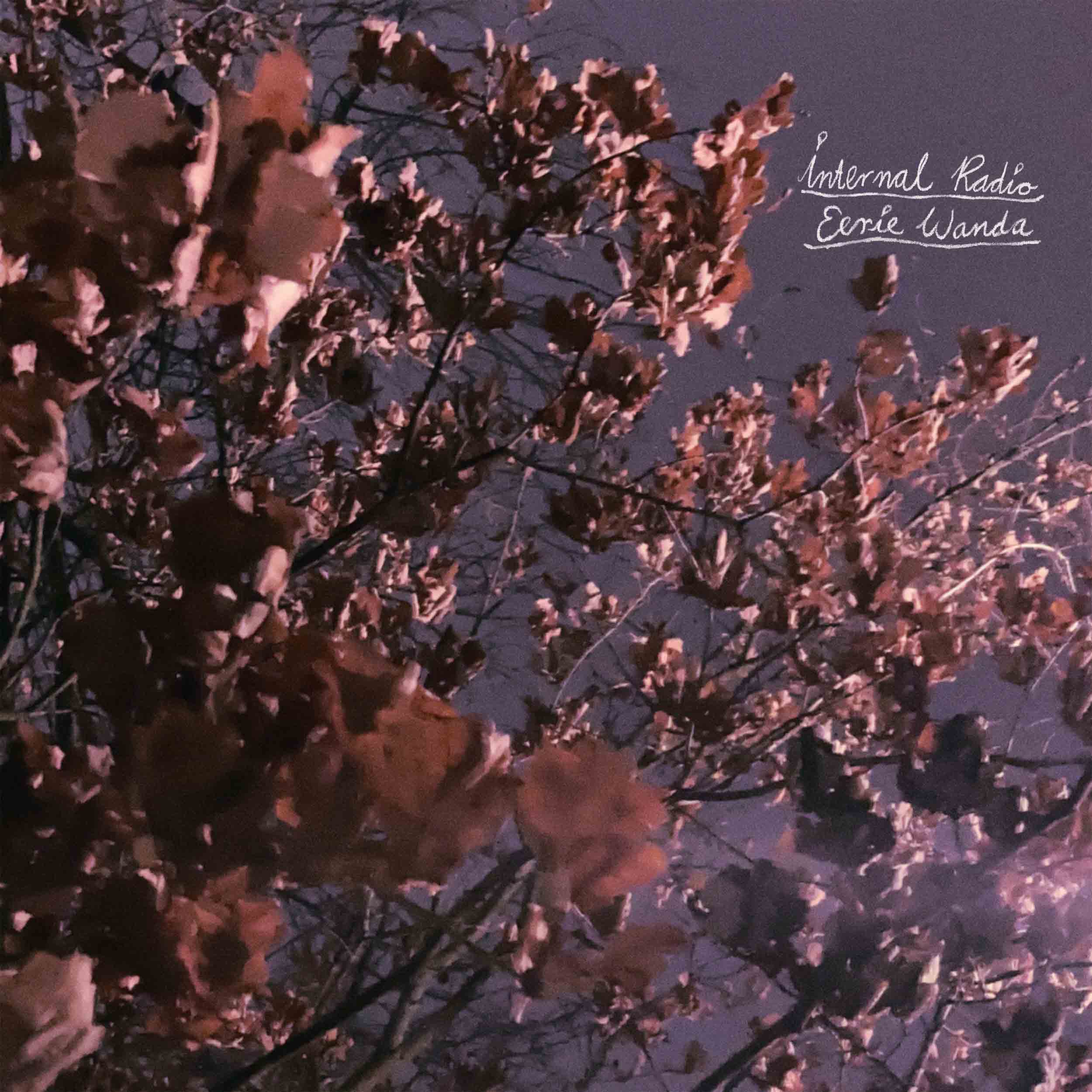 Internal Radio - Vinyle Lavande - Front Cover